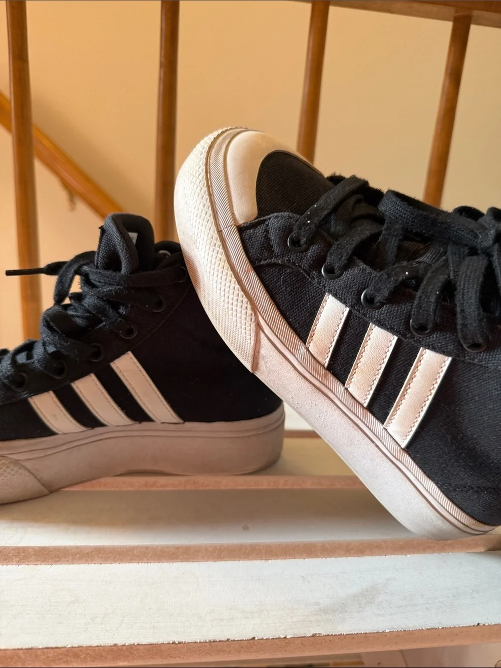 adidas classic high